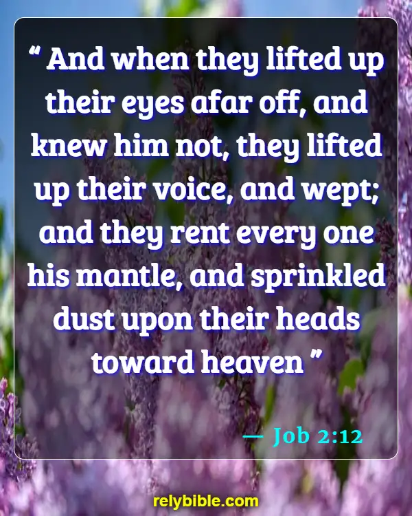 Bible Verse (Job 2:12)