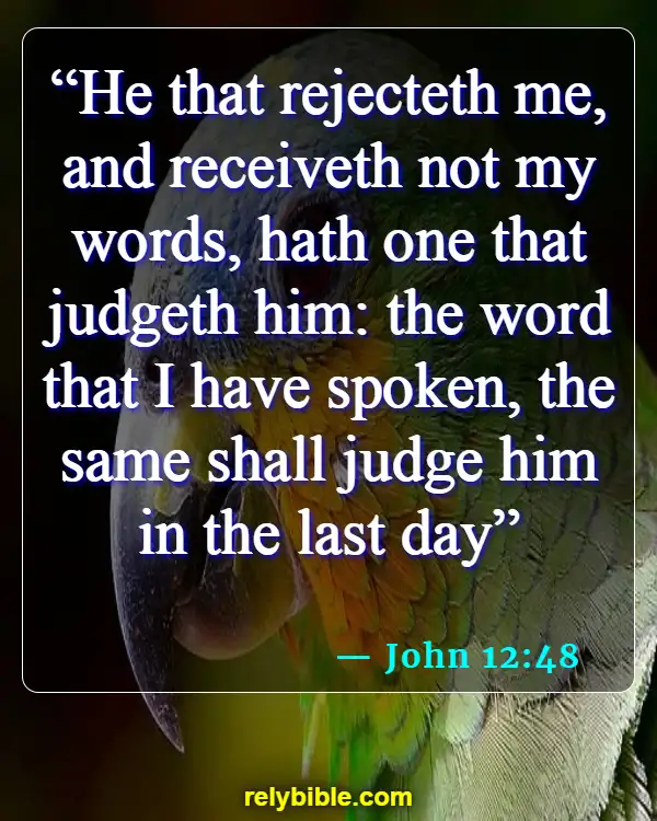Bible verses About Hardened Hearts (John 12:48)