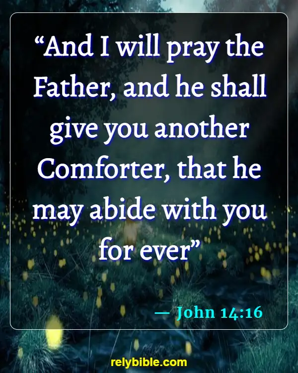 Bible Verse (John 14:16)