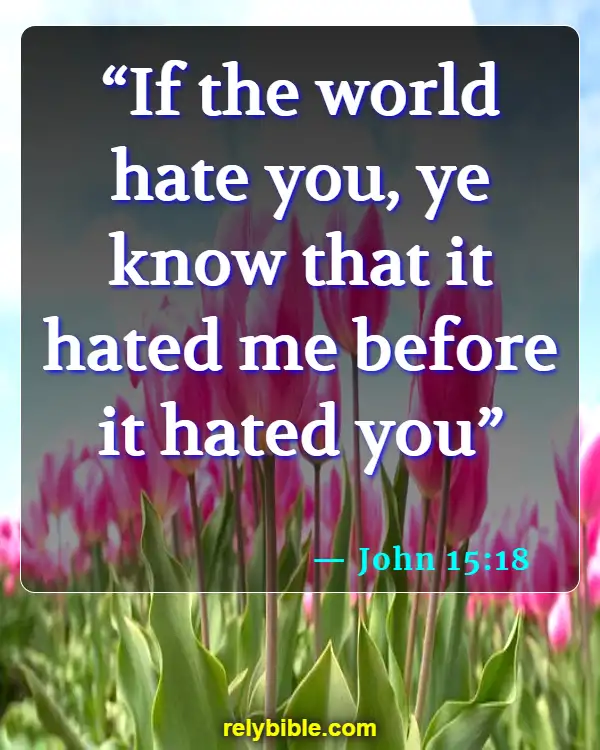 Bible Verse (John 15:18)
