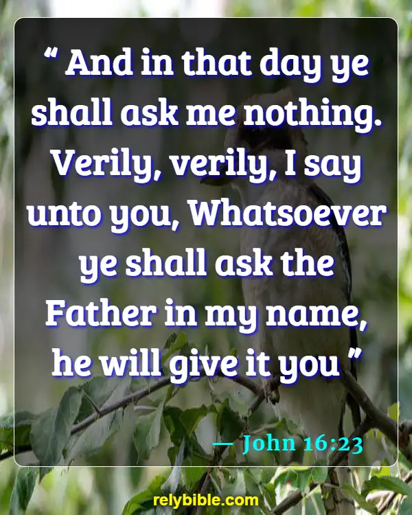 Bible verses About Praying To Saints (John 16:23)