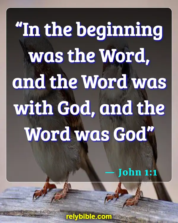 Bible verses About When Life Begins (John 1:1)