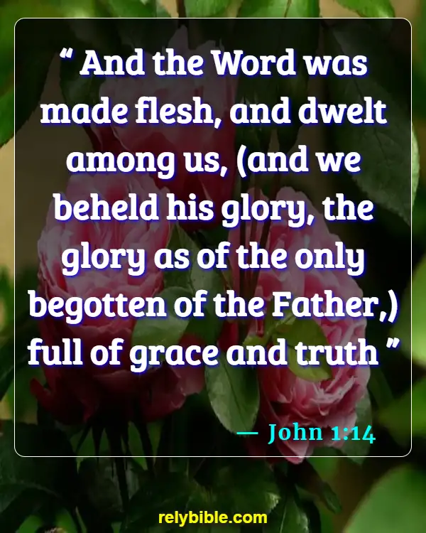 Bible verses About Seeking God (John 1:14)