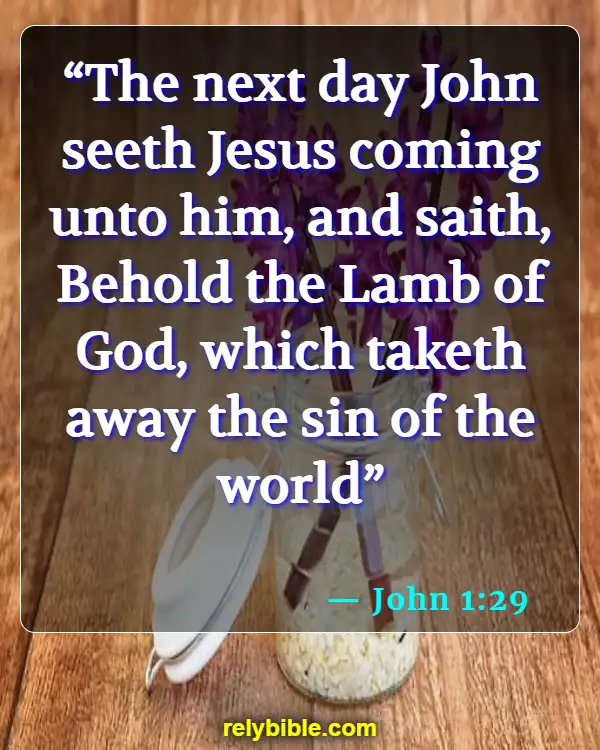 Bible verses About Meat (John 1:29)