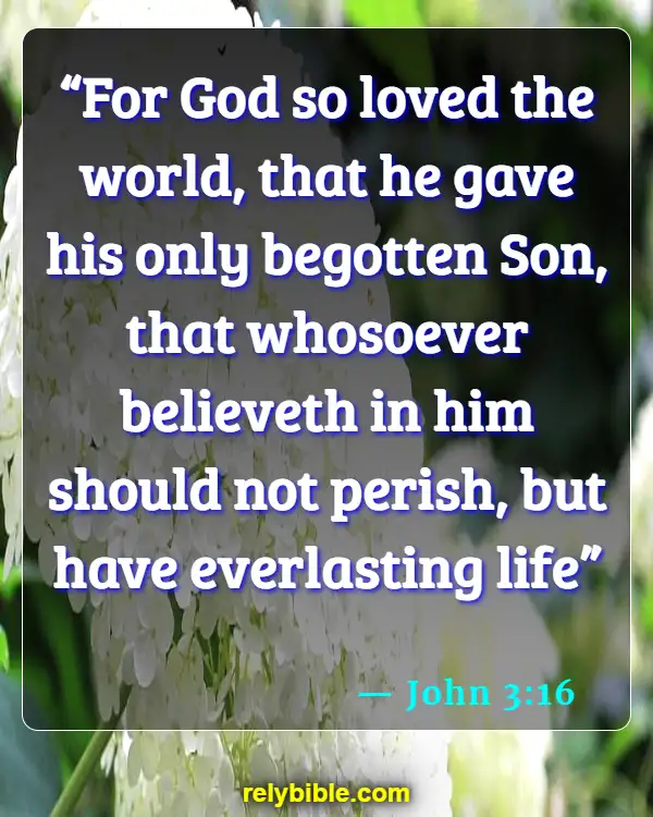 Bible verses About Birthdays (John 3:16)