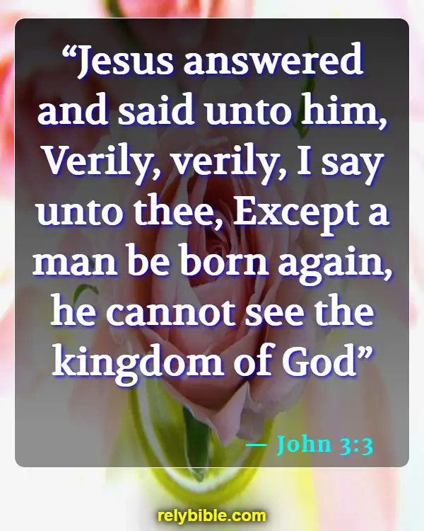 Bible verses About Identity In Christ (John 3:3)