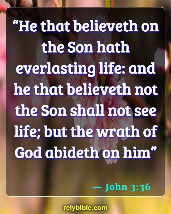 Bible verses About Reconciliation (John 3:36)