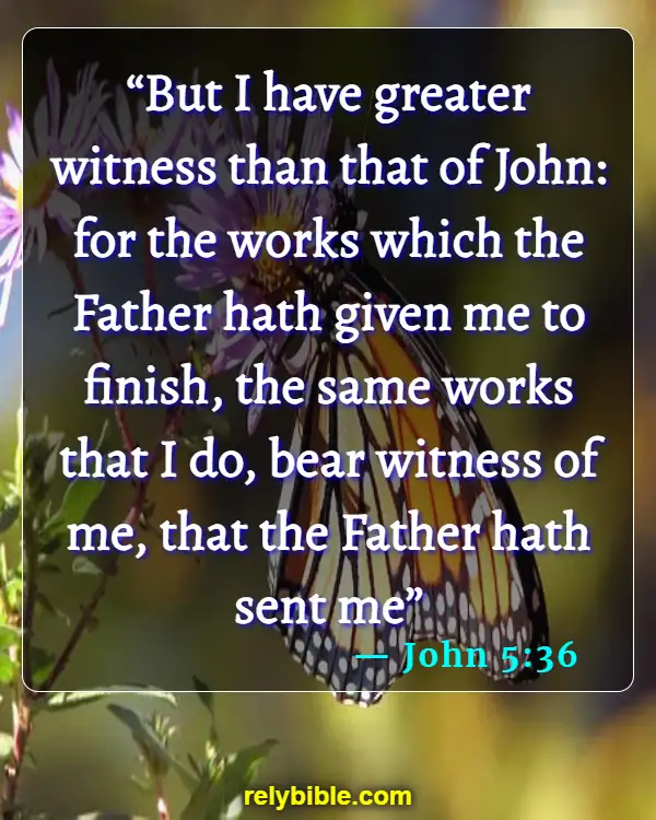 Bible Verse (John 5:36)
