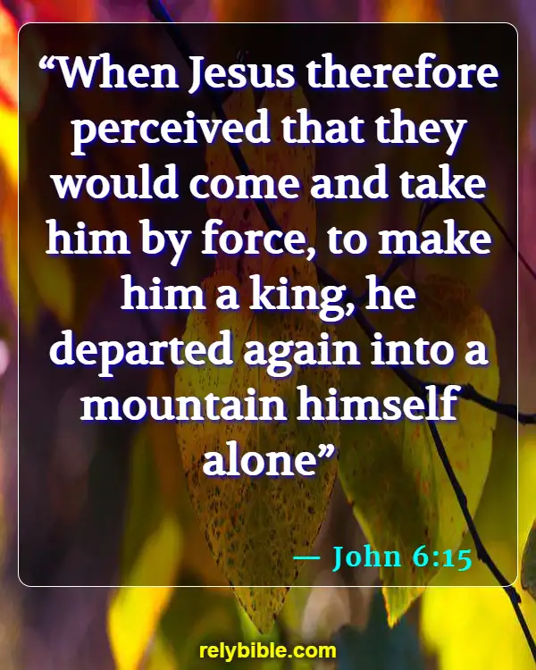 Bible Verse (John 6:15)