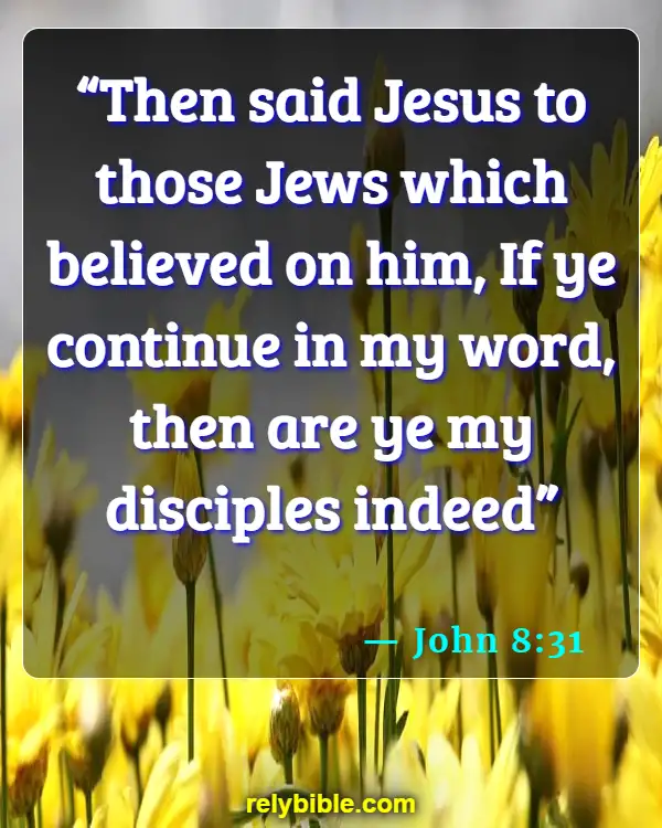 Bible verses About Making Disciples (John 8:31)