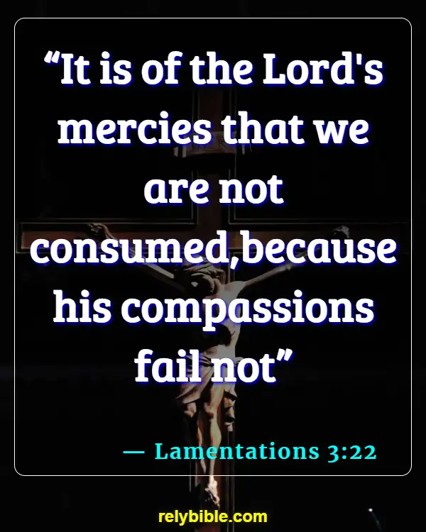 Bible Verse (Lamentations 3:22)