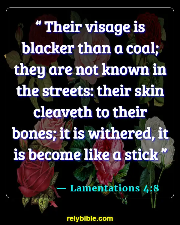 Bible Verse (Lamentations 4:8)
