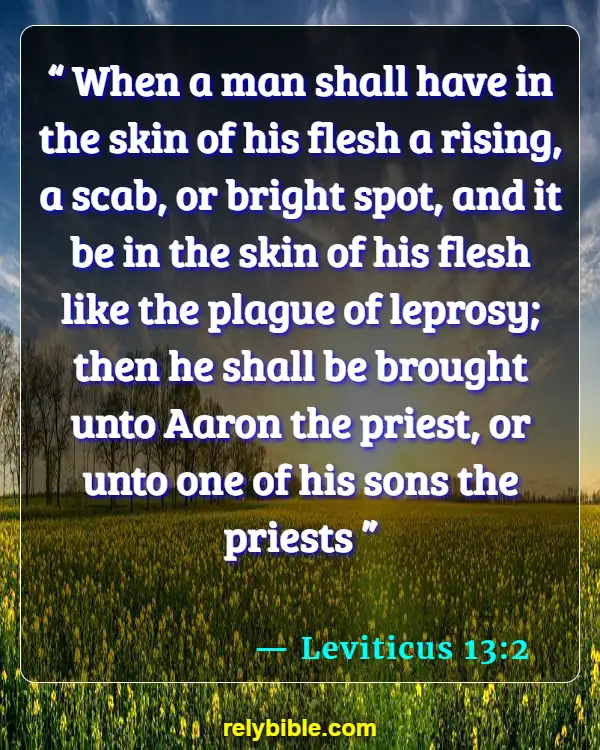 Bible Verse (Leviticus 13:2)