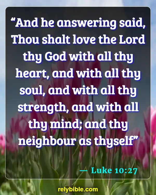 Bible verses About Taking Care Of Yourself (Luke 10:27)