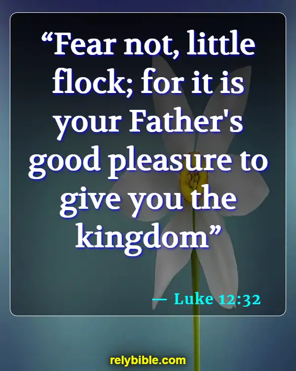 Bible verses About Giving Back (Luke 12:32)
