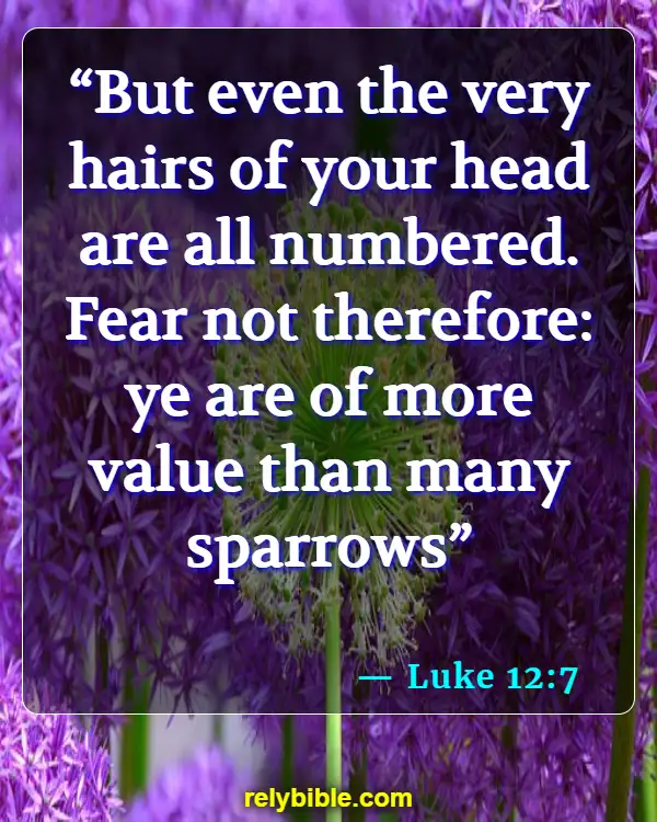 Bible verses About Gods Care (Luke 12:7)