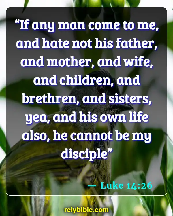 Bible verses About Making Disciples (Luke 14:26)