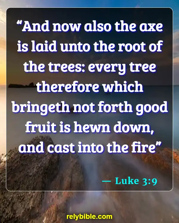 Bible Verse (Luke 3:9)