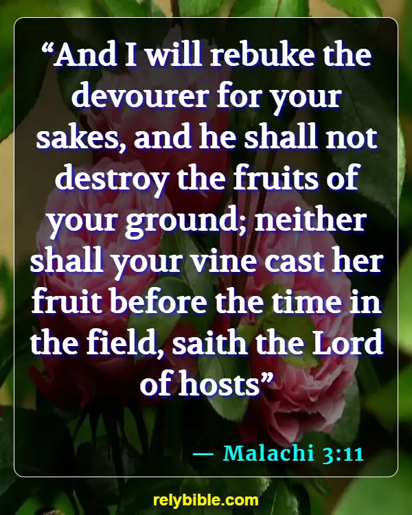 Bible Verse (Malachi 3:11)