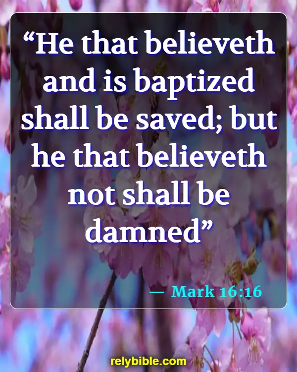 Bible verses About Assurance Of Salvation (Mark 16:16)