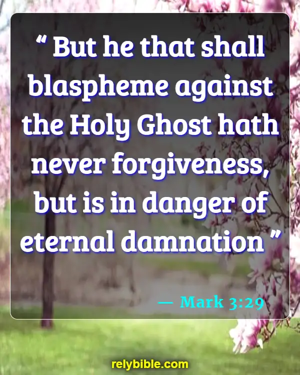Bible Verse (Mark 3:29)