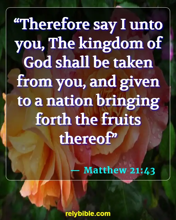 Bible verses About Giving Back (Matthew 21:43)