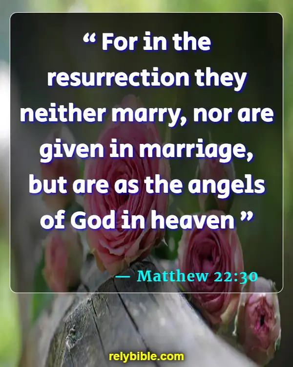Bible Verse (Matthew 22:30)