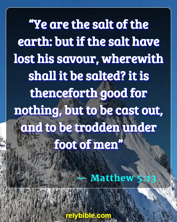 Bible Verse (Matthew 5:13)