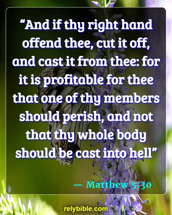 Bible verses About Hands (Matthew 5:30)