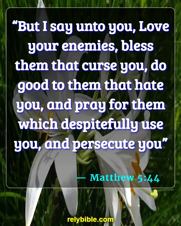 Bible verses About Enemies (Matthew 5:44)