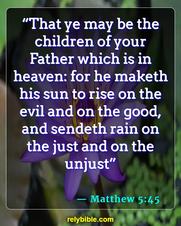 Bible verses About Warmth (Matthew 5:45)