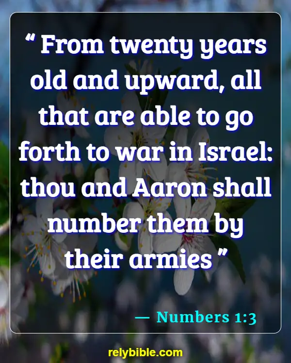 Bible Verse (Numbers 1:3)