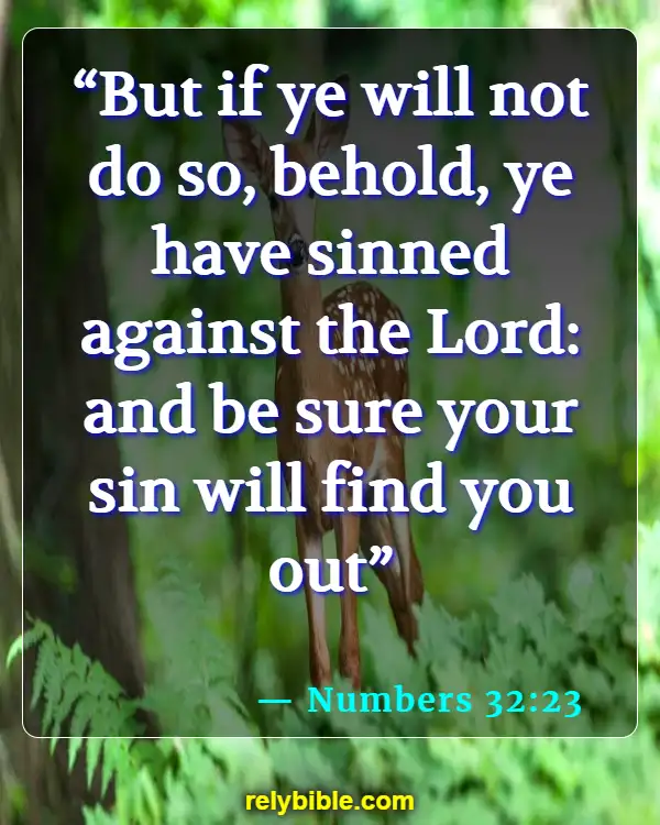 Bible Verse (Numbers 32:23)