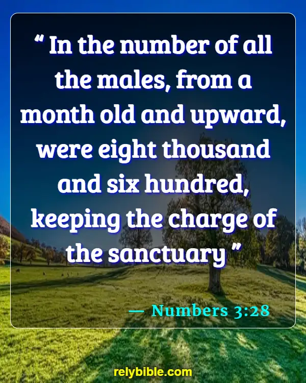 Bible Verse (Numbers 3:28)