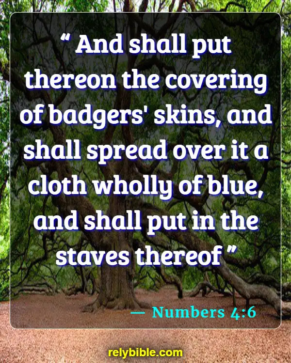 Bible Verse (Numbers 4:6)