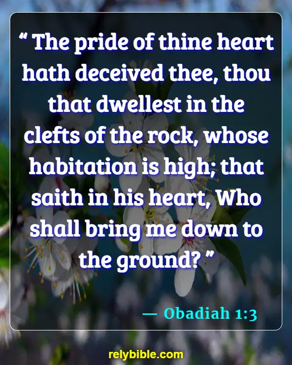 Bible Verse (Obadiah 1:3)