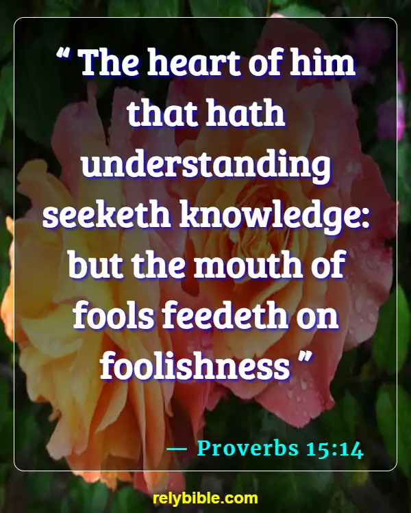 Bible Verse (Proverbs 15:14)