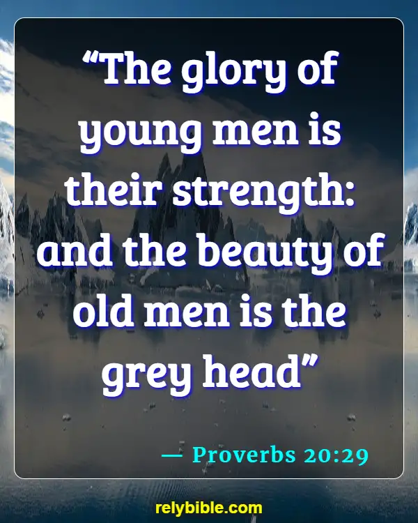 Bible Verse (Proverbs 20:29)