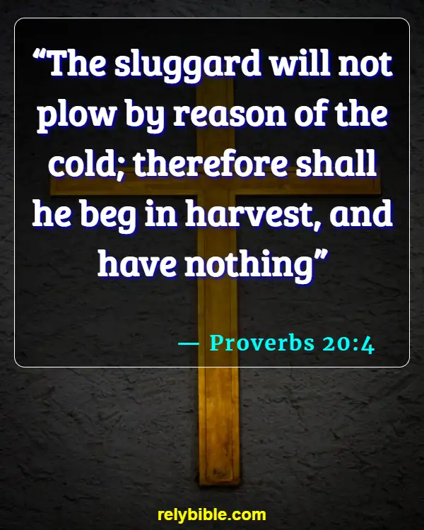 Bible verses About Seasons Of Life (Proverbs 20:4)