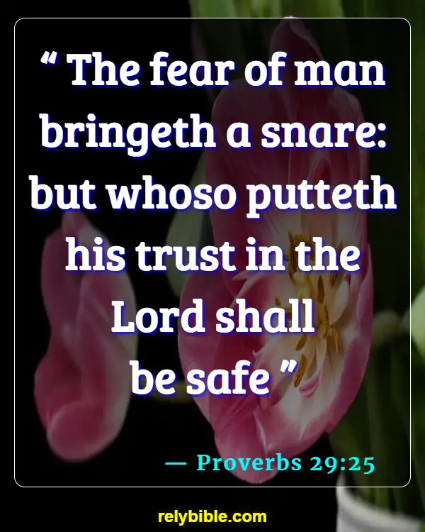 Bible Verse (Proverbs 29:25)