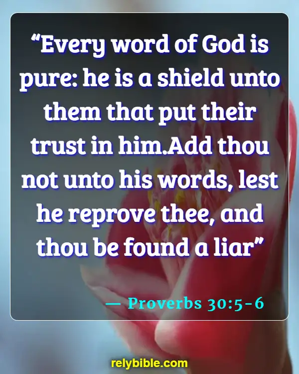 Bible Verse (Proverbs 30:5-6)