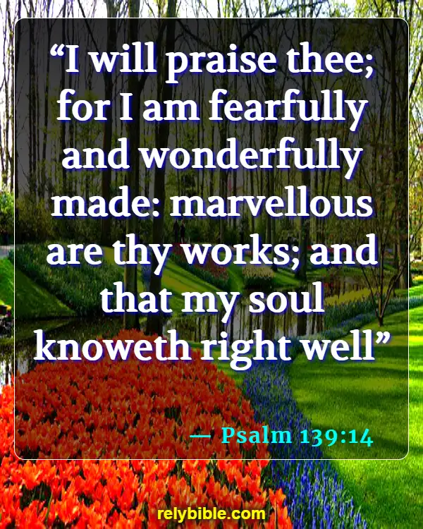 Bible Verse (Psalm 139:14)