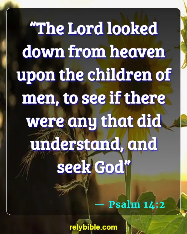 Bible verses About Seeking God (Psalm 14:2)