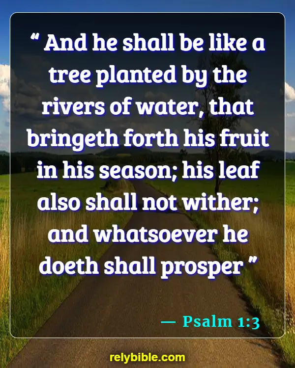 Bible verses About Seasons Of Life (Psalm 1:3)