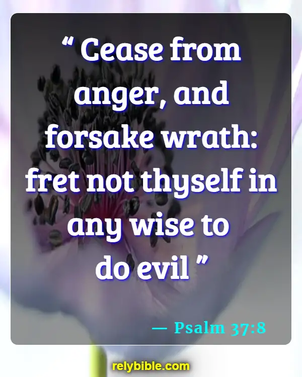 Bible verses About Quarreling (Psalm 37:8)