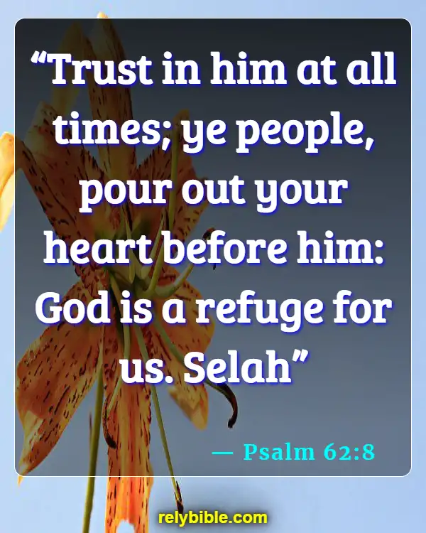 Bible Verse (Psalm 62:8)