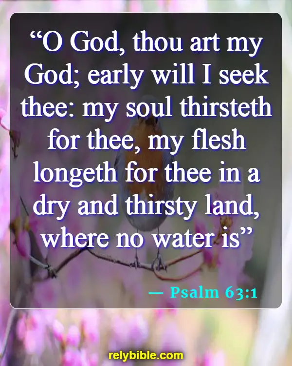 Bible verses About Seeking God (Psalm 63:1)