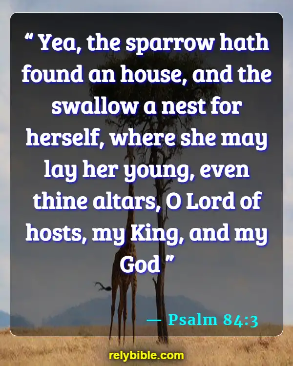 Bible Verse (Psalm 84:3)
