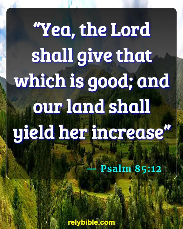 Bible Verse (Psalm 85:12)