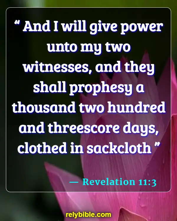 Bible Verse (Revelation 11:3)